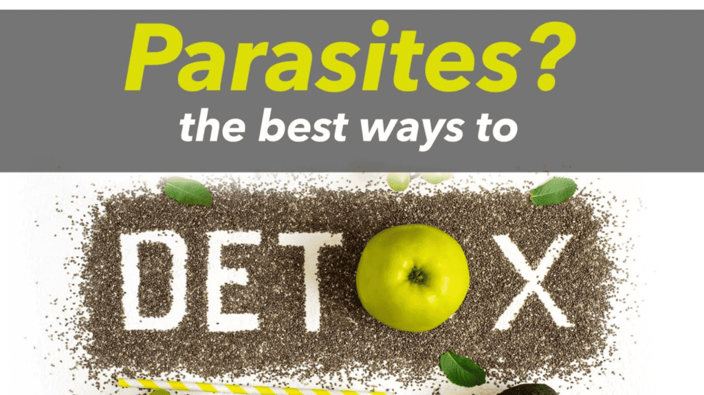 holistic doctor in Lansing MI
