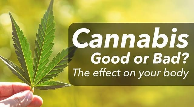 Cannabisedit