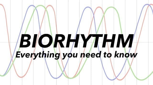 Biorhythm